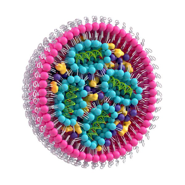 Merck 收購 AmpTec 及其基於脂質製造廣泛專業知識的 PCR 技術，讓 Merck 能在整個 mRNA 價值鏈上提供真正獨特而整合的產品，將可顯著減低供應鏈的複雜性及加快上市速度。